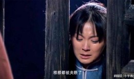 小白菜奇案 在线观看,揭秘悬案背后的真相